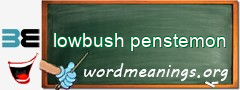 WordMeaning blackboard for lowbush penstemon